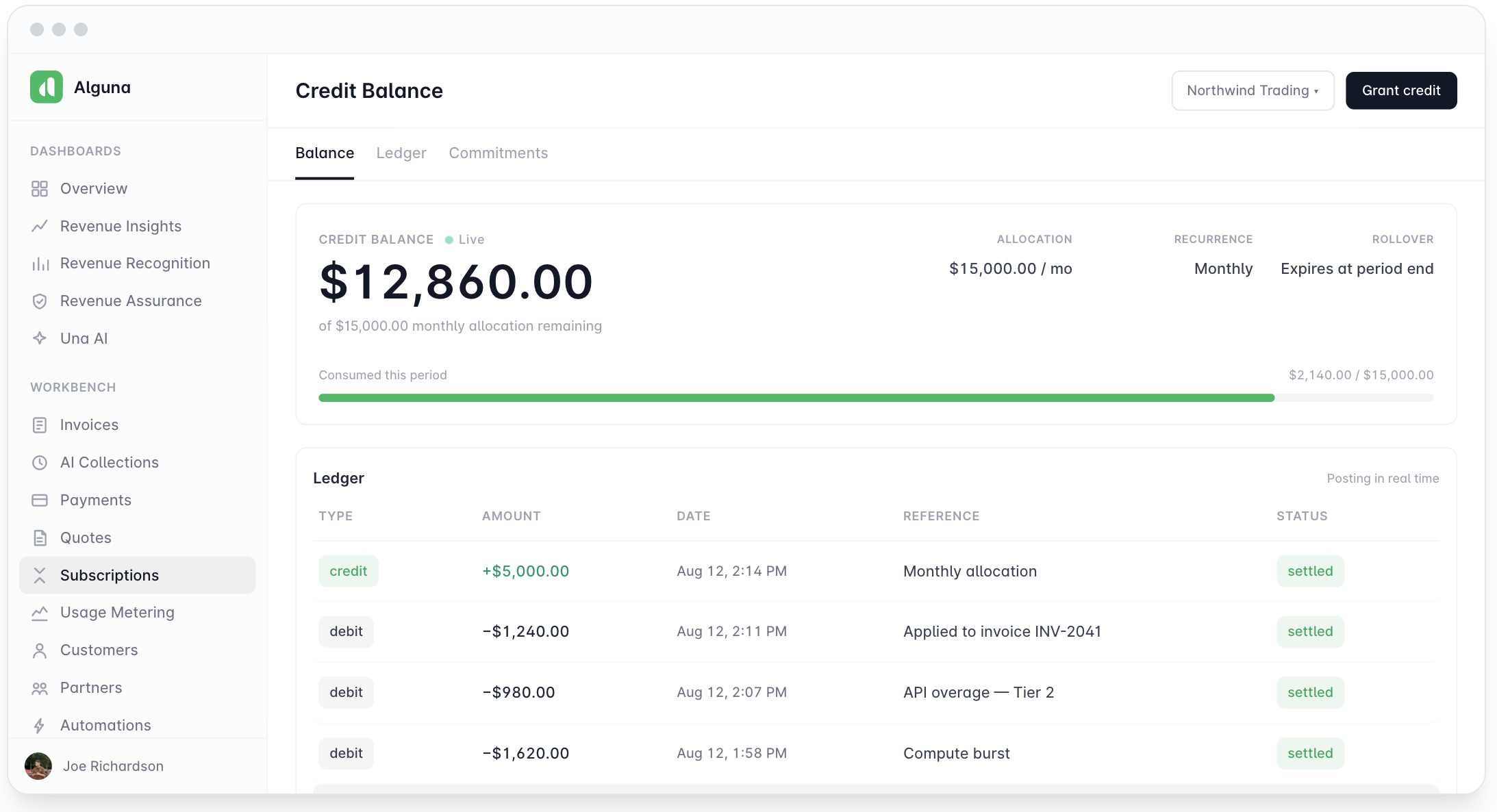 Credit balance view in Alguna.