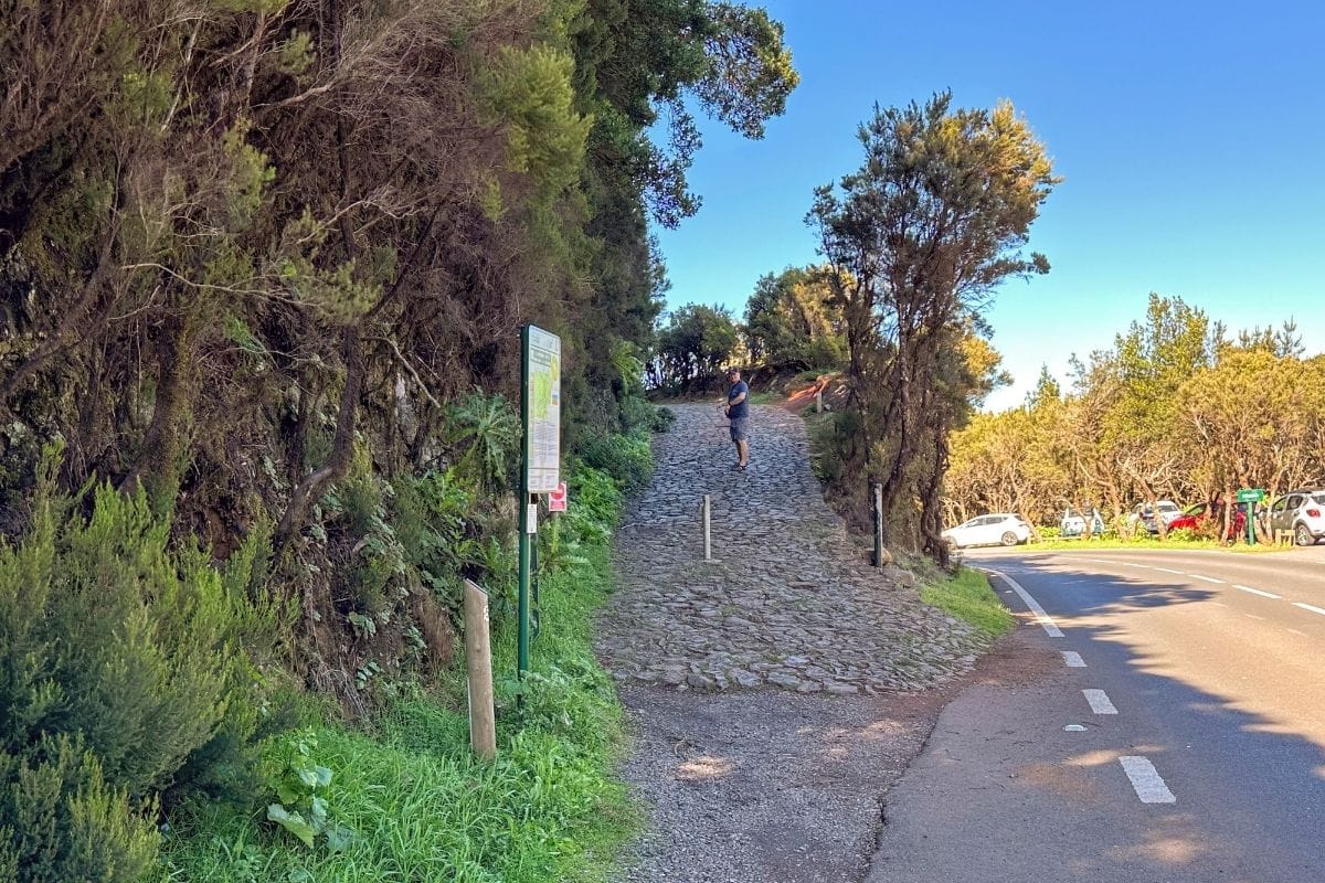 La Gomera Hiking To Alto De Garajonay From El Contadero Canary Islands Spain Start Point Of Trail Is A Stone Pathway