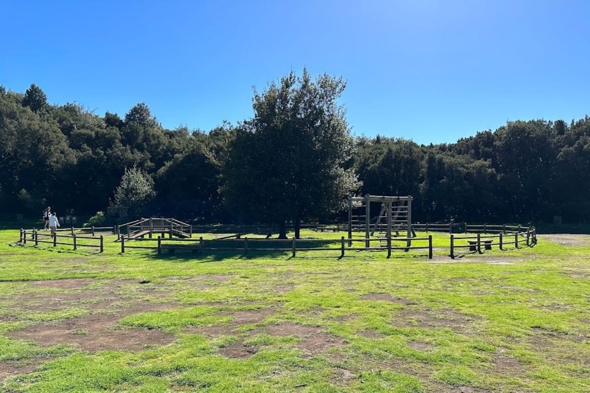 Childrens Play Area At Laguna Grande La Gomera In A Clearing Surrounded By Forest
