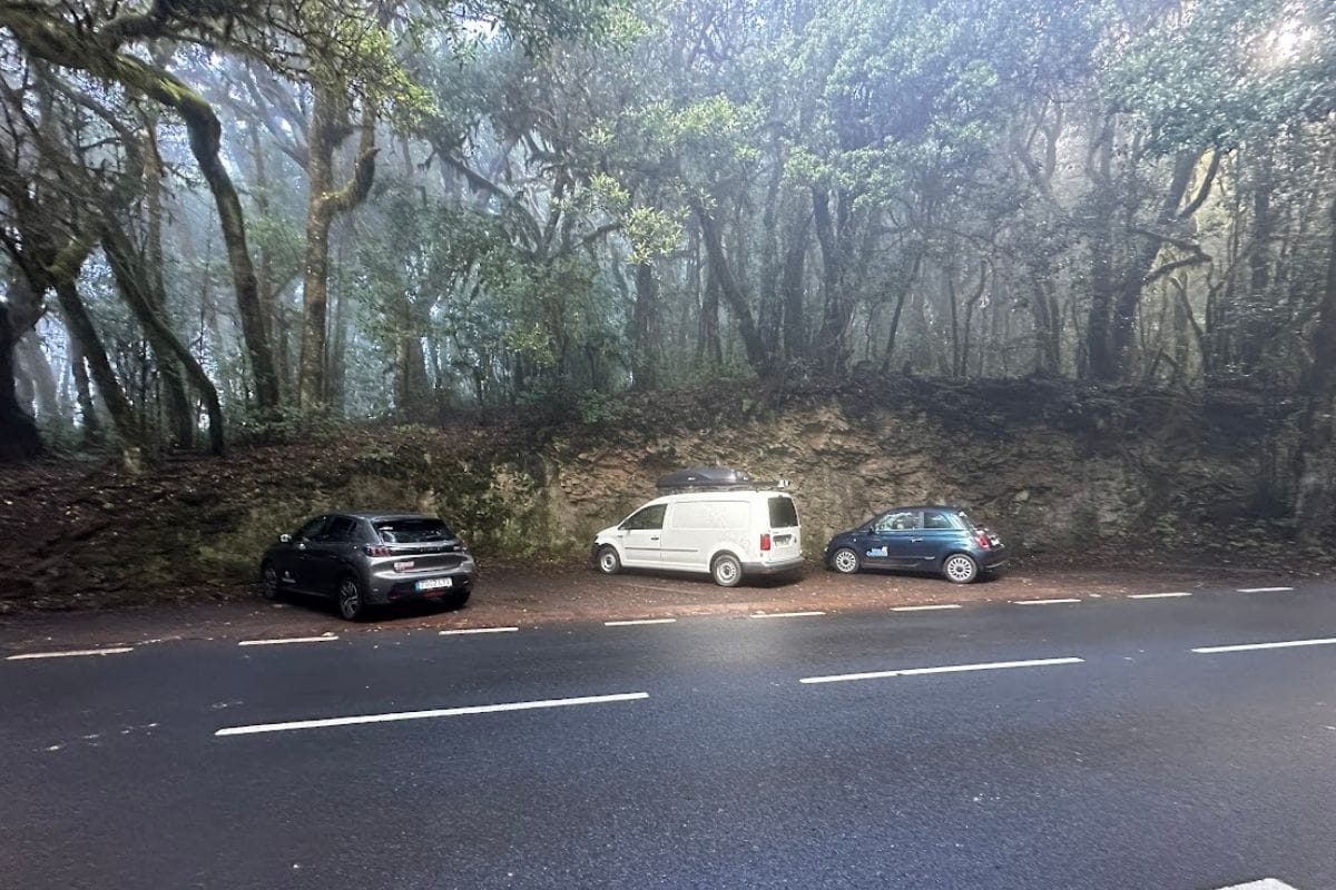 Car Park For Hiking Trail Ruta 10 Garajonay National Park Forest Canada De Jorge La Gomera Canary Islands Spain
