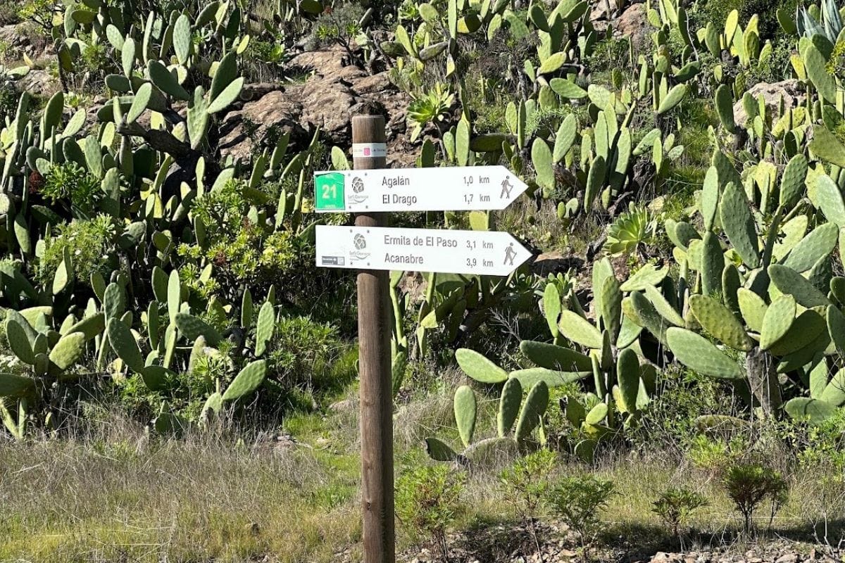 Signpost At The Start Of The Hiking Trail To The Dragon Tree Or El Drago La Gomera Canary Islands Spain With Rocks And Cacti In The Background