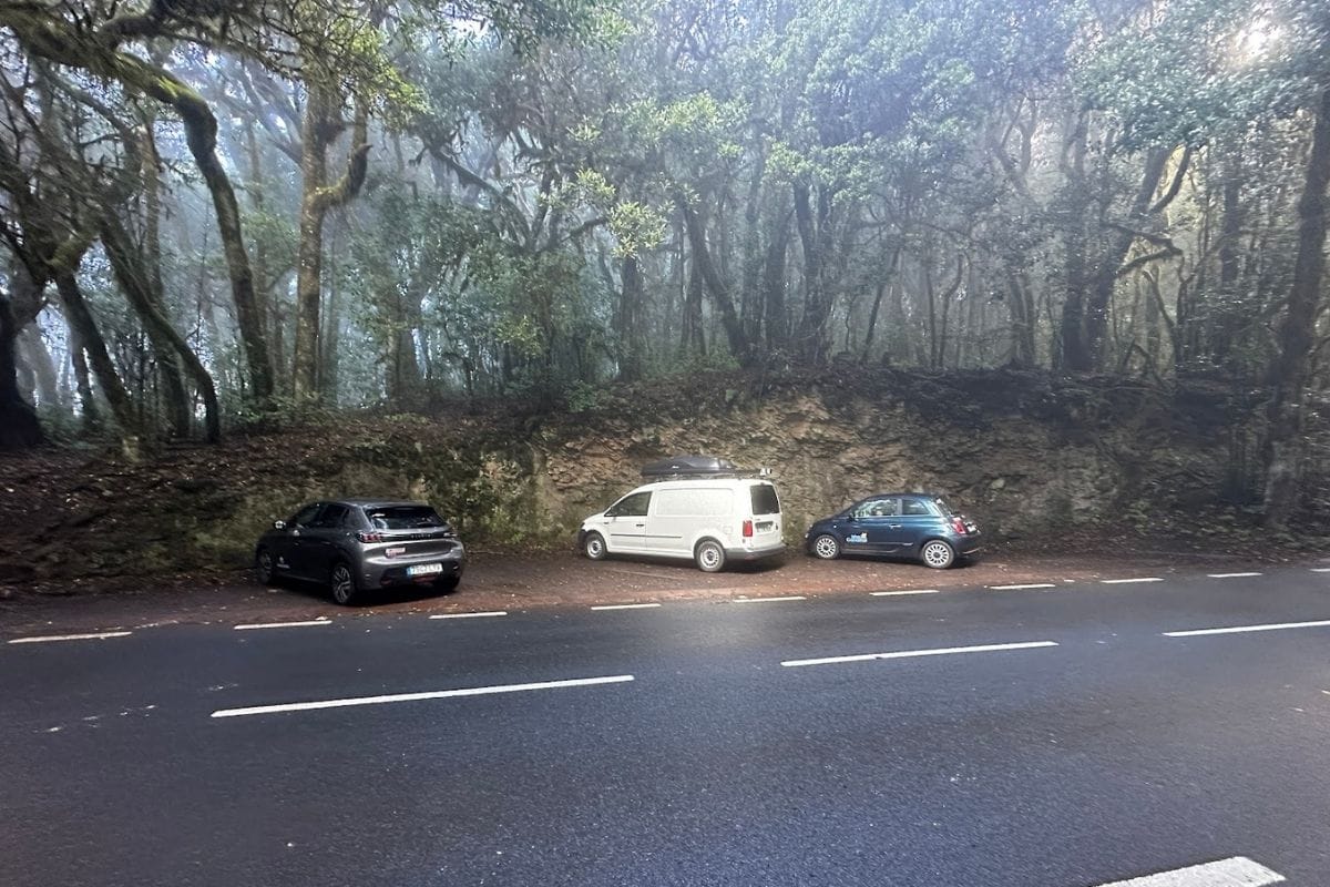 Car Park For Hiking Trail Ruta 12 Garajonay National Park Forest Raso De La Bruma La Gomera Canary Islands Spain