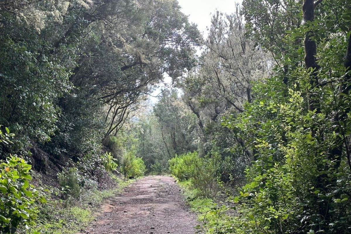 wide walking trail on the canada de jorge
