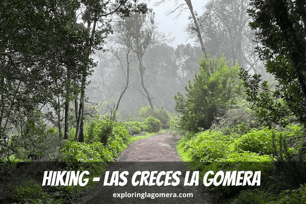 Beautiful Forest With Atmospheric Mist Hiking Las Creces La Gomera Known As Ruta 5 Canary Islands Spain
