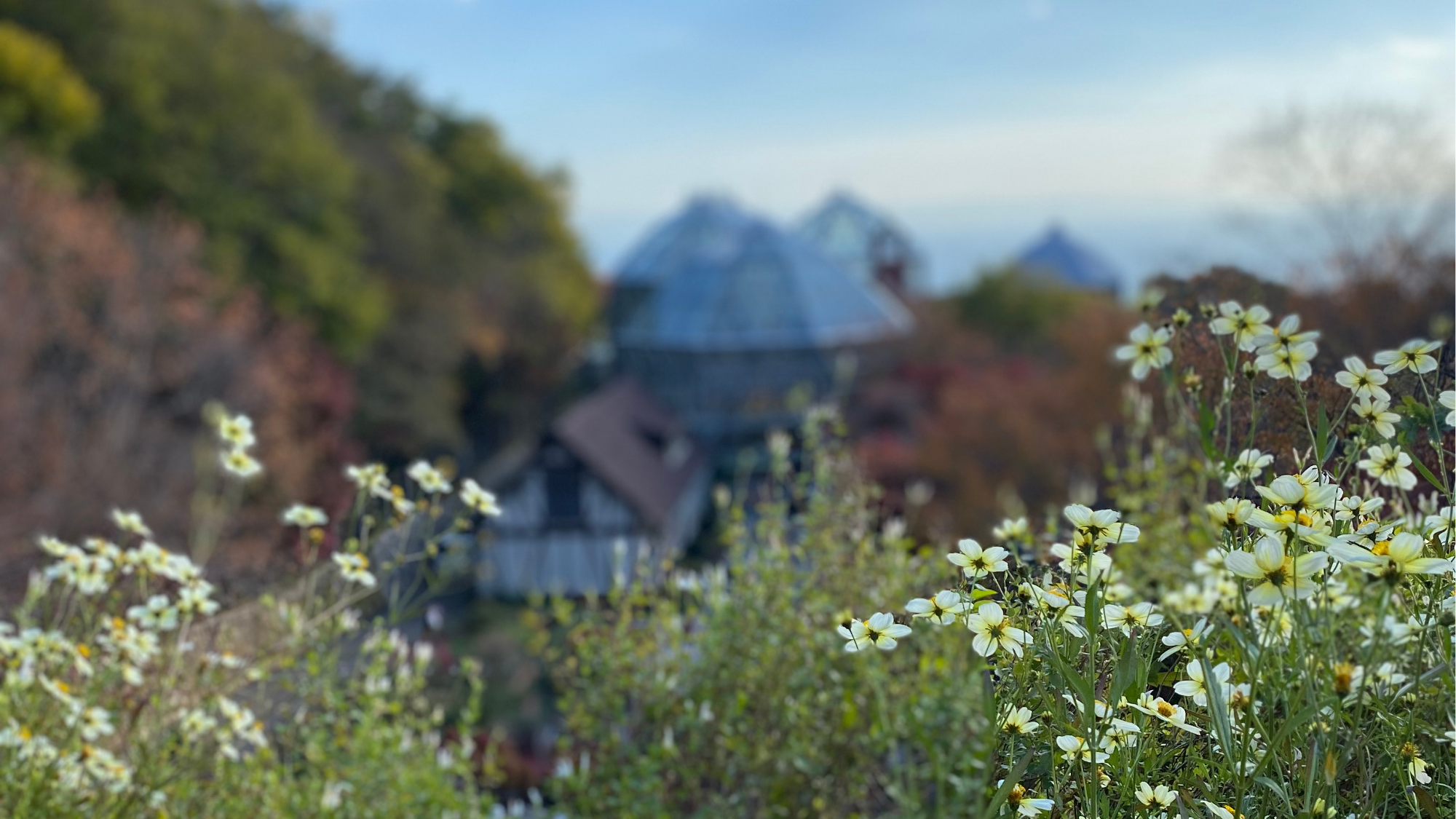 The Village | Stories on Humanity