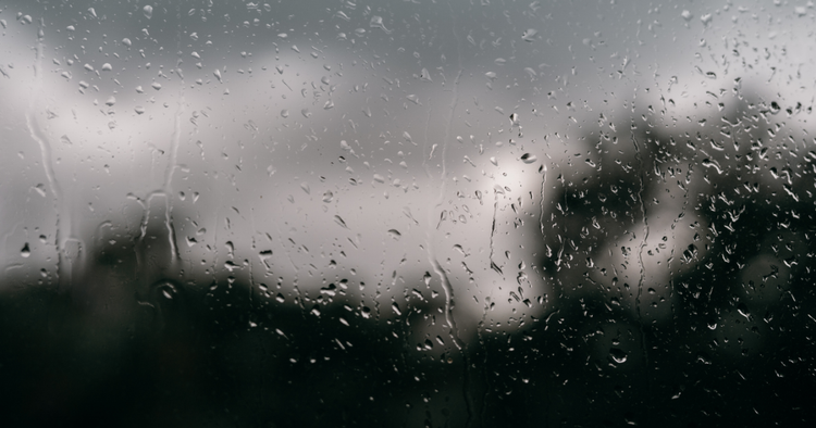 Rain Check
