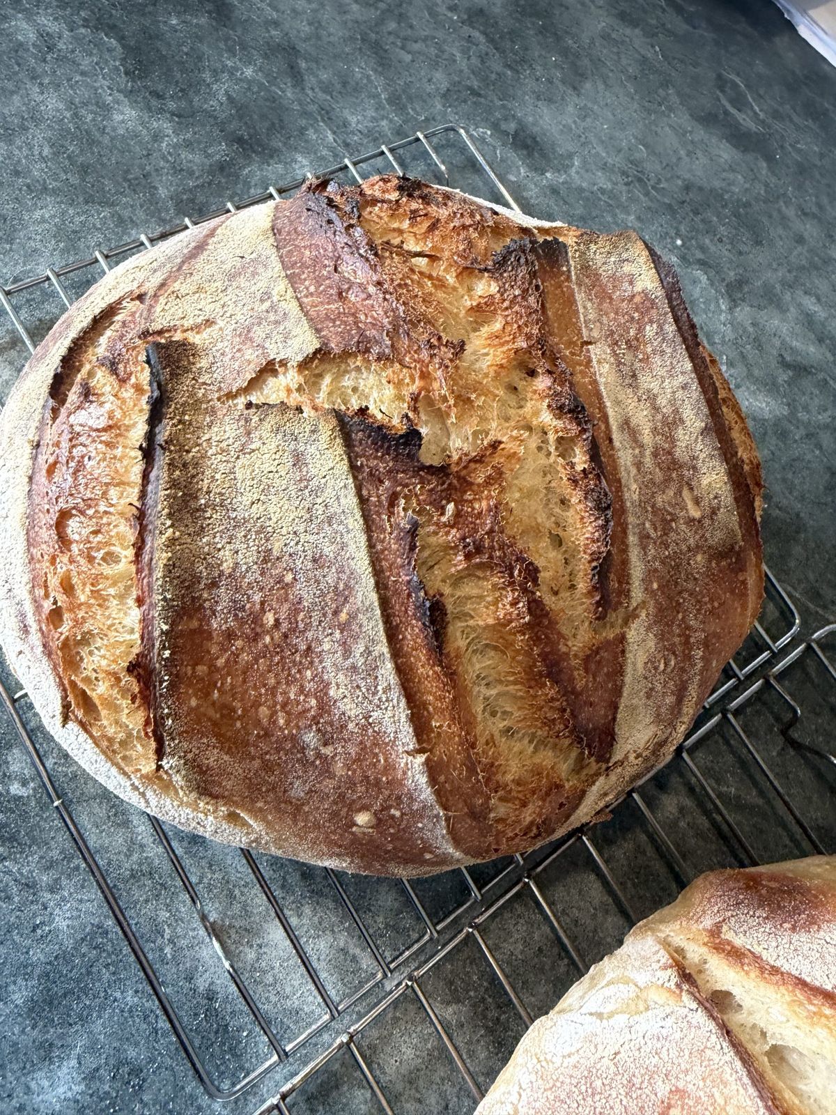 Where to Get Organic Flour for Bread in NZ (What I’ve Learned So Far)