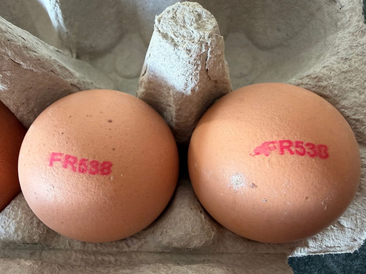 What the stamp on your egg is actually telling you