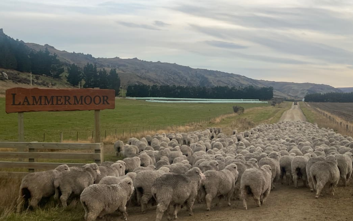 Chanel Buys Into NZ's Largest Organic Farm