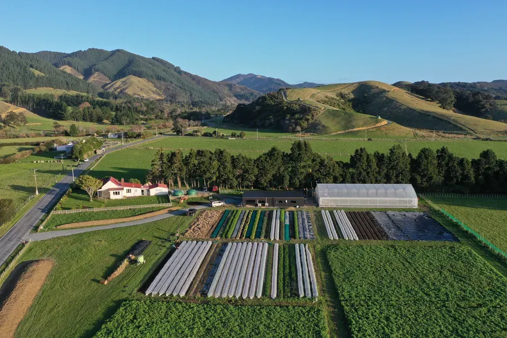 Mangaroa Farms: a regenerative food hub with its own butchery