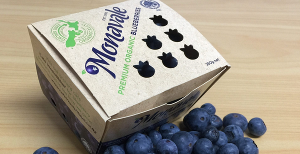 Monavale Blueberries — Overview