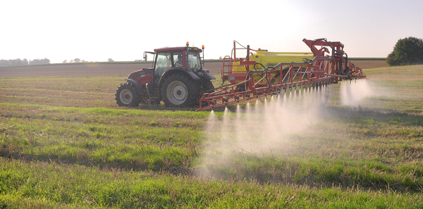 Is “Gluten Intolerance” Really About Gluten… or Something Else?