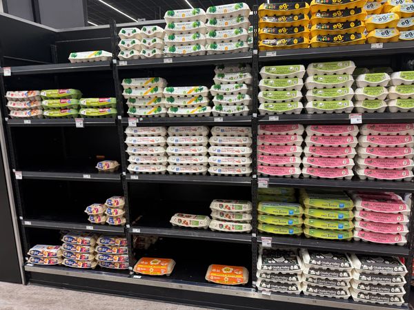 The egg aisle looks simple. It isn't.