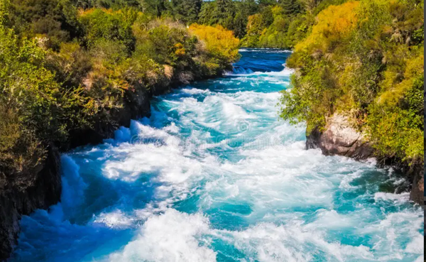 What's Actually In Auckland's Tap Water