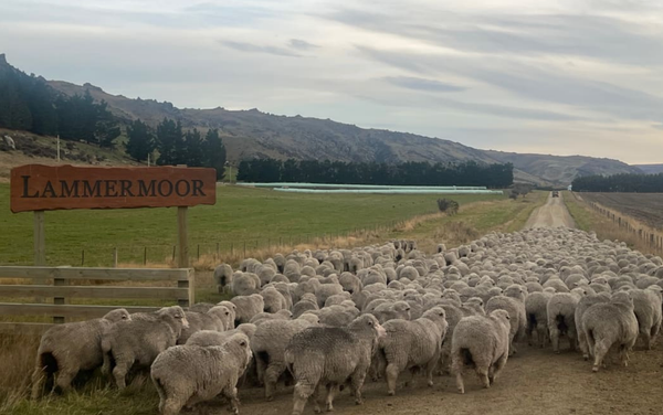 Chanel Buys Into NZ's Largest Organic Farm