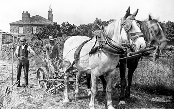 What "Organic" Actually Used to Mean