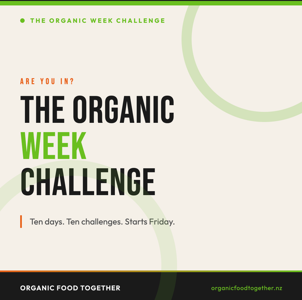 Ten Days. Ten Challenges. One Question Underneath All Of Them.