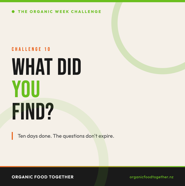 What Did You Find?