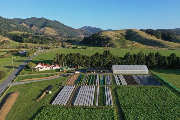 Mangaroa Farms: a regenerative food hub with its own butchery