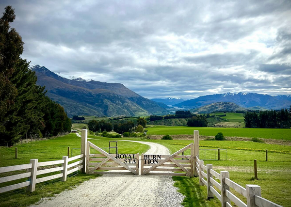 Grow, Feed, Certify? Royalburn and the Word Nobody Owns Yet