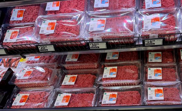 Why Is Beef Mince So Expensive in New Zealand?