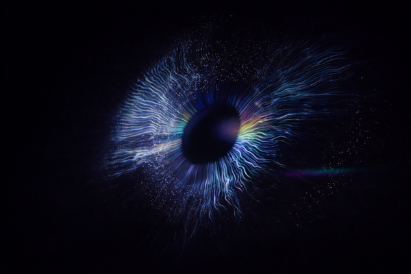 Why I Called It How to Feel Nothing