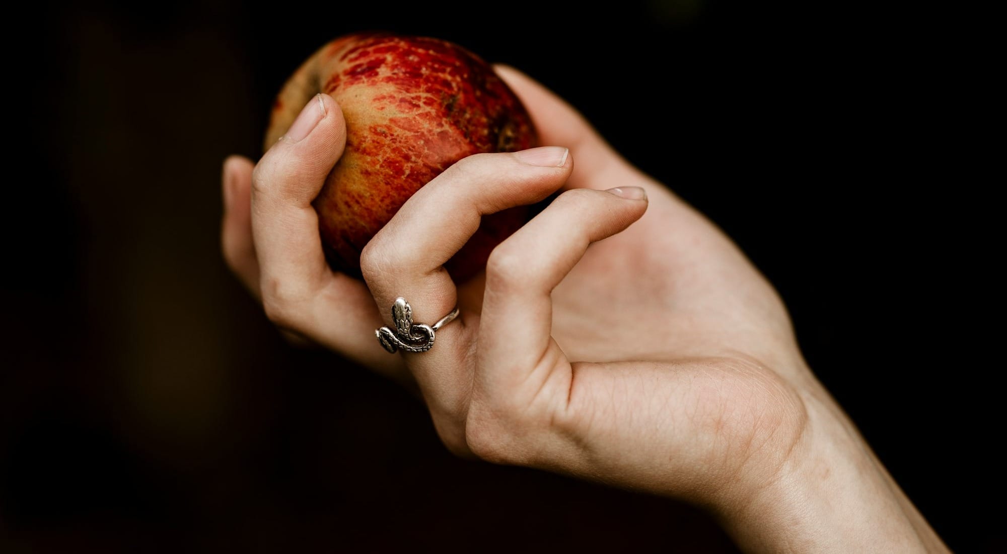 person holding red apple fruit