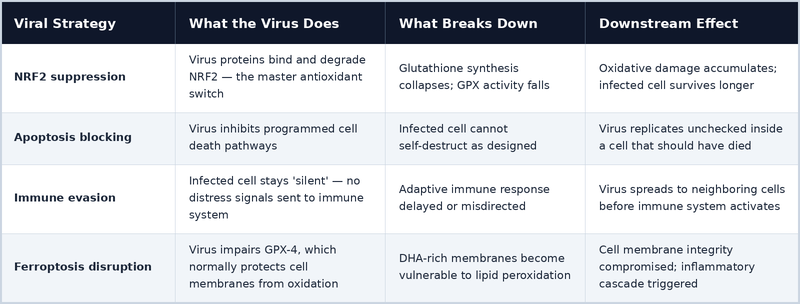 How Viruses Hijack the Antioxidant Defense System