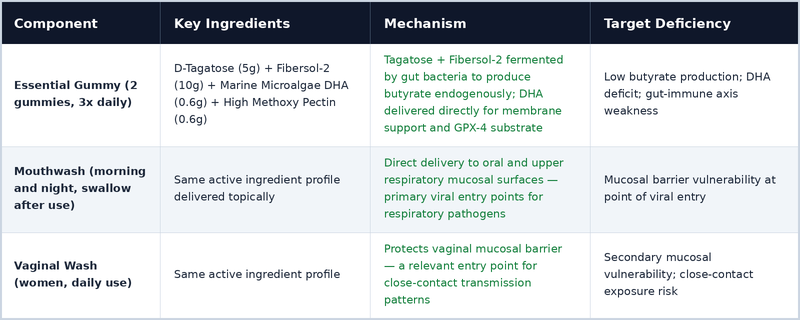 The ReBalU Protocol: Three Delivery Methods