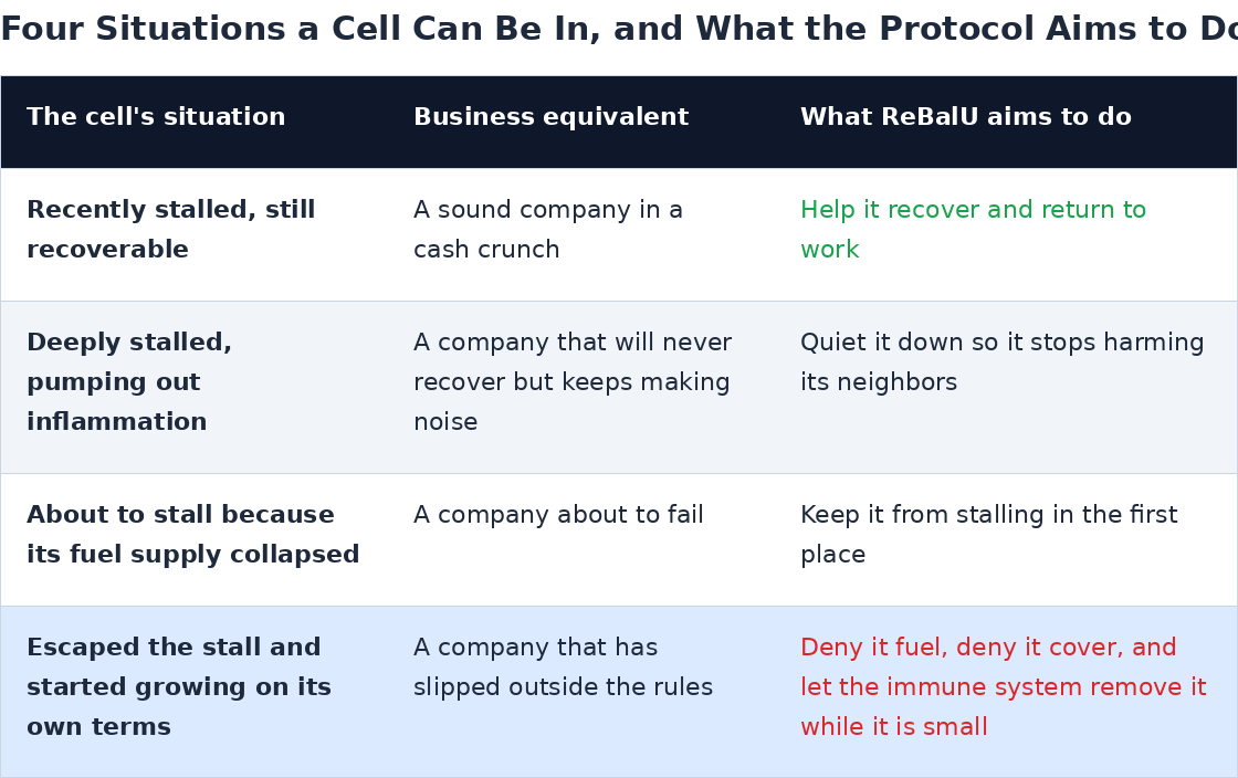 cell_situations.png