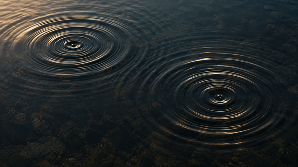 The Two Waves of Aging