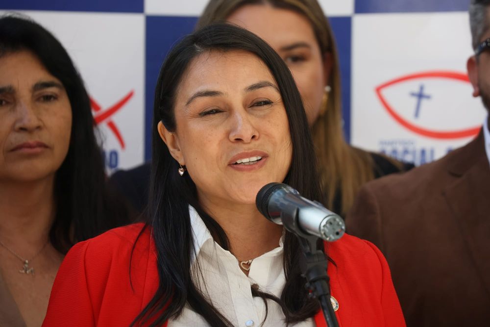 UNA TRANSA MÁS: LA PROPIA DIPUTADA QUE ACUSÓ A GRAU DICE QUE SU RECHAZO PUDO SER "MONEDA DE CAMBIO" PARA LOS VOTOS DE LA MEGARREFORMA post image