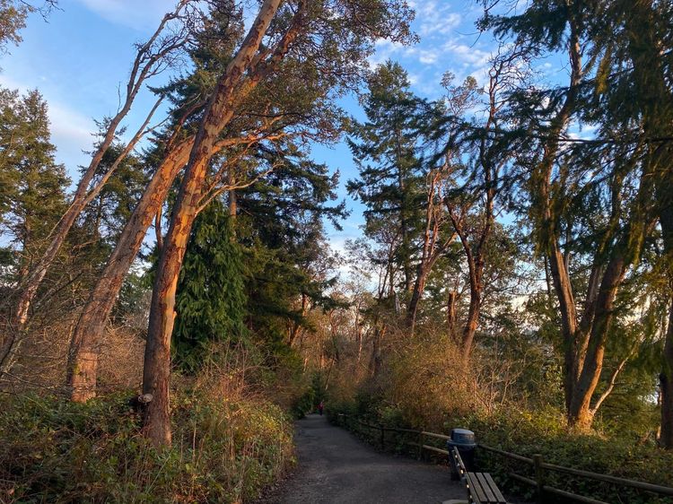 An ode to taking a break