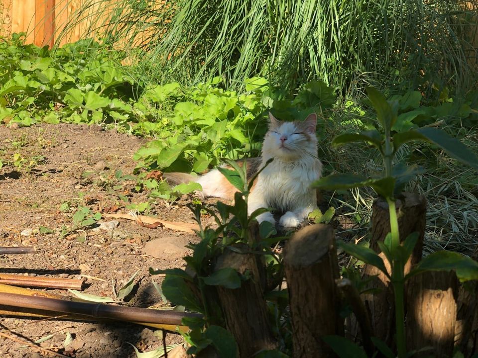 How do you keep track of your week?