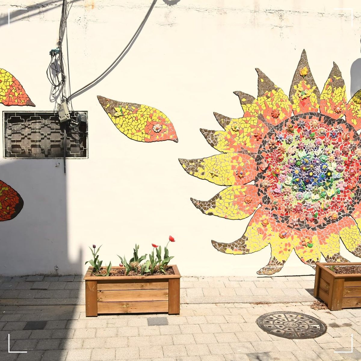 행궁동 로컬 뉴스레터 10회: 잘파 세대가 쓰는 벽화마을의 다음 챕터