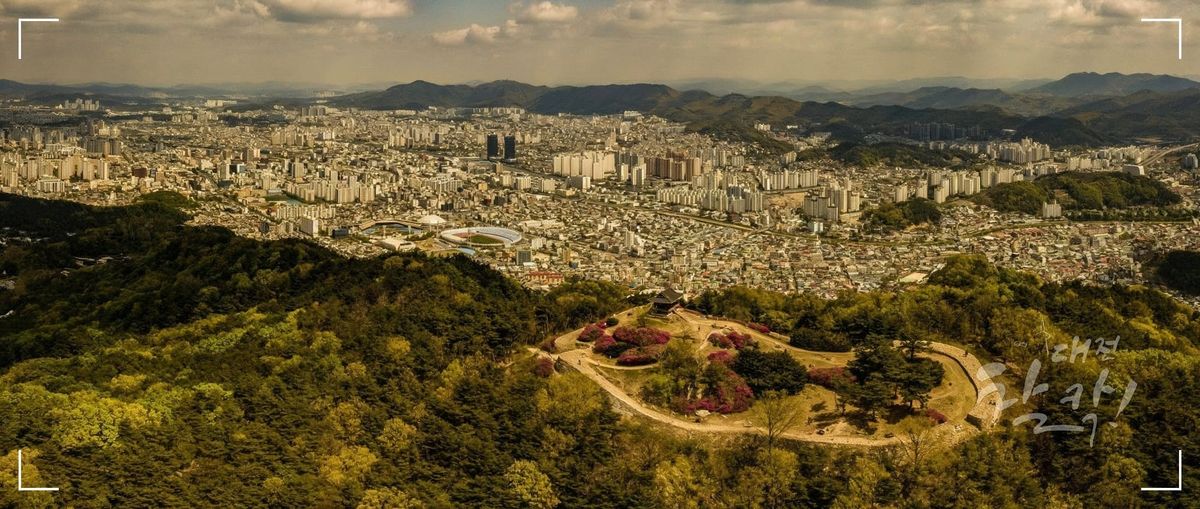 대전 중구 로컬 뉴스레터 2회: 대전은 정말 '성심당의 도시'일까? (2부)