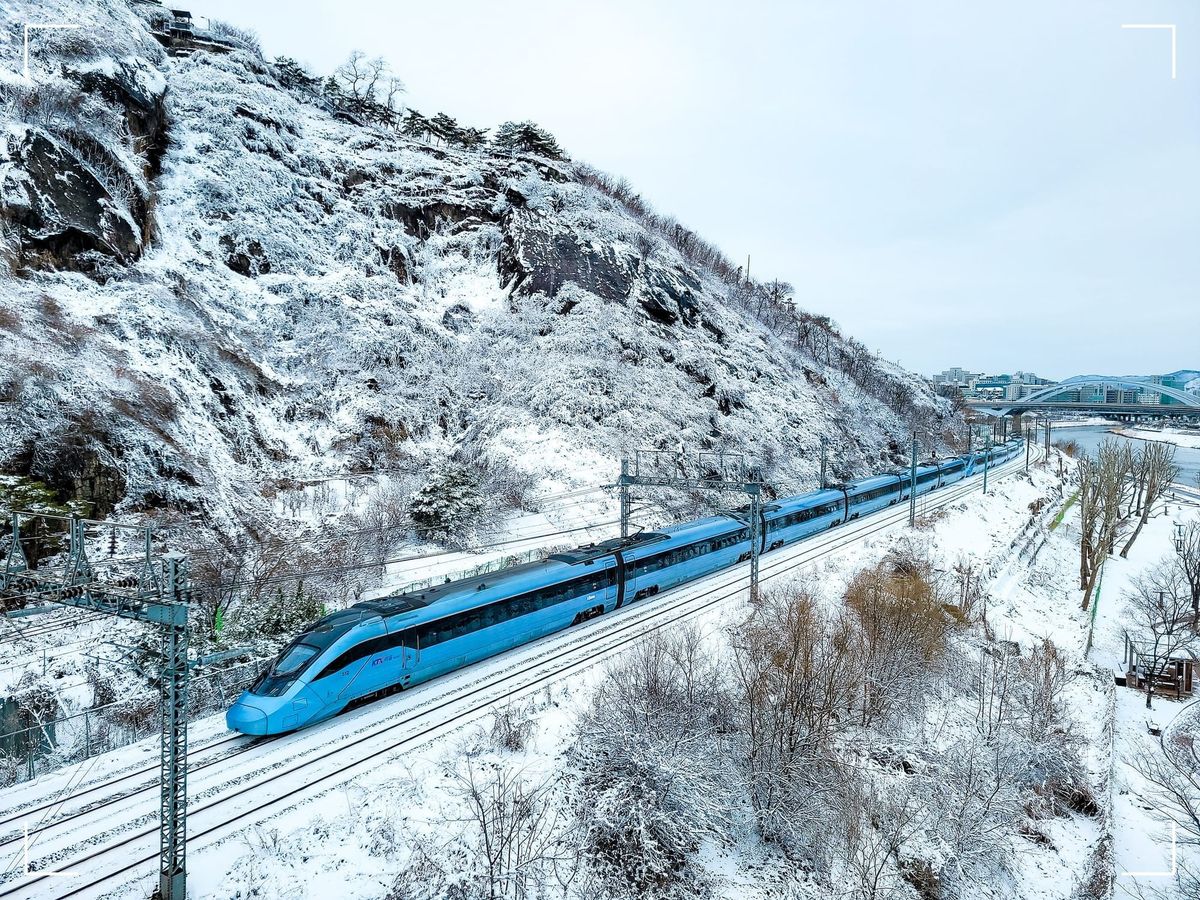 대전 중구 로컬 뉴스레터 4회: KTX와 의료관광이 만날 때 생겨나는 로컬의 미래
