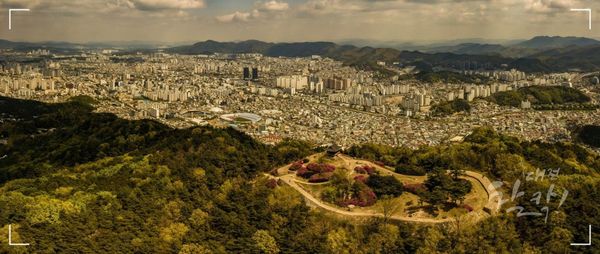 대전 중구 로컬 뉴스레터 2회: 대전은 정말 '성심당의 도시'일까? (2부)