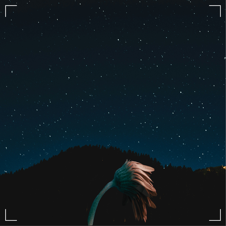 행궁동 로컬 뉴스레터 13회: 장밋빛 미래에 던지는 불편한 질문, '힙함'은 왜 돈이 되지 않을까?(1부)