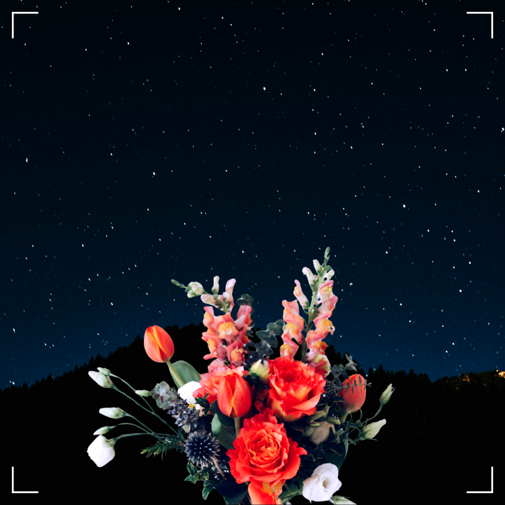 행궁동 로컬 뉴스레터 14회: 장밋빛 미래에 던지는 불편한 질문, '힙함'은 왜 돈이 되지 않을까?(2부)