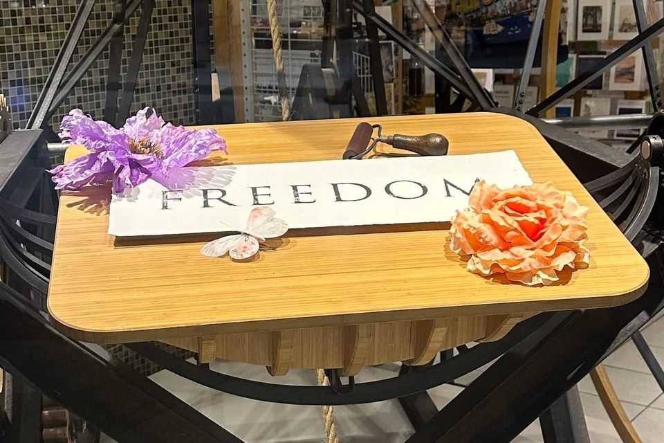 ✍🏼 What does freedom mean to you? 💭