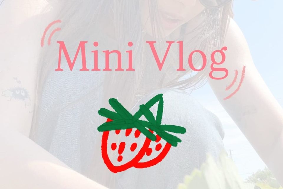 🍓 it’s strawberry season on Turtle Island