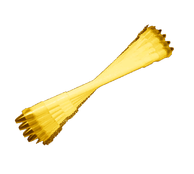 Welcome to Spindy's Elite!