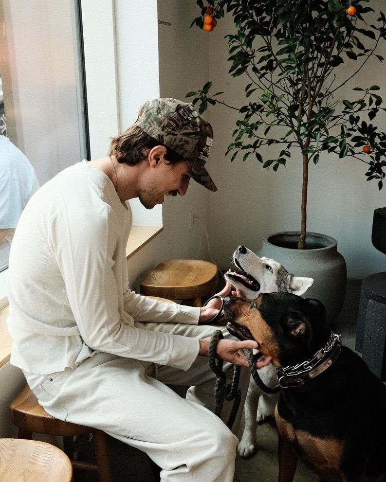 The Goldilocks Effect