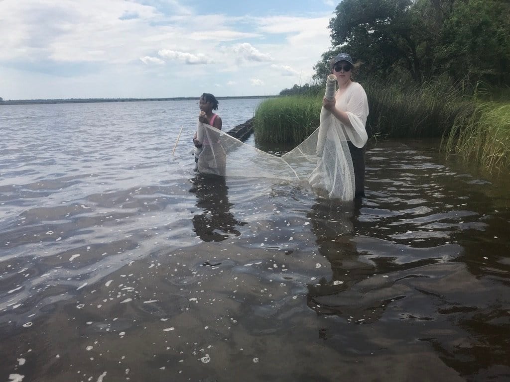 two participants seine fishing in the water at Camp Wilkes