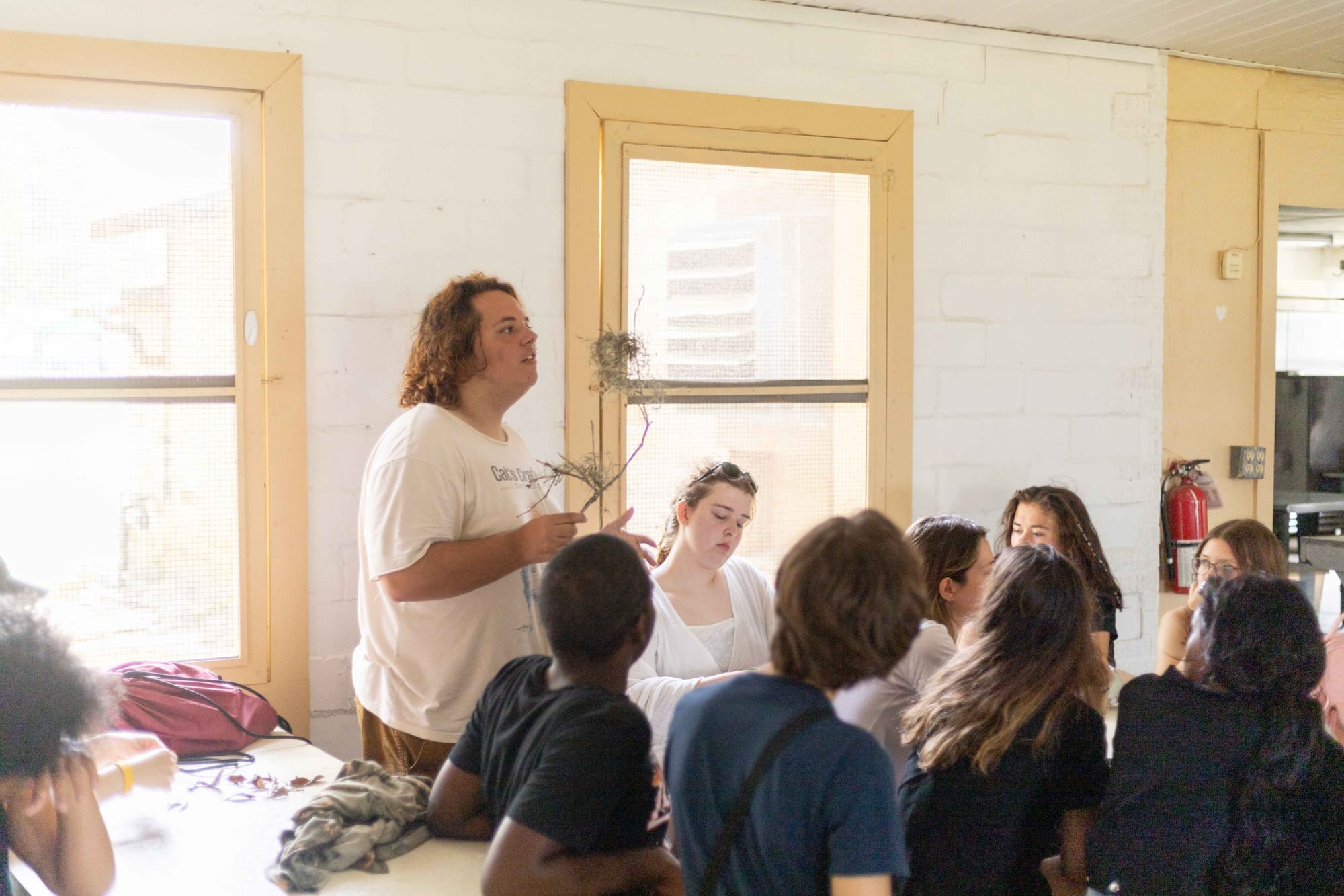 presenting biomimicry projects