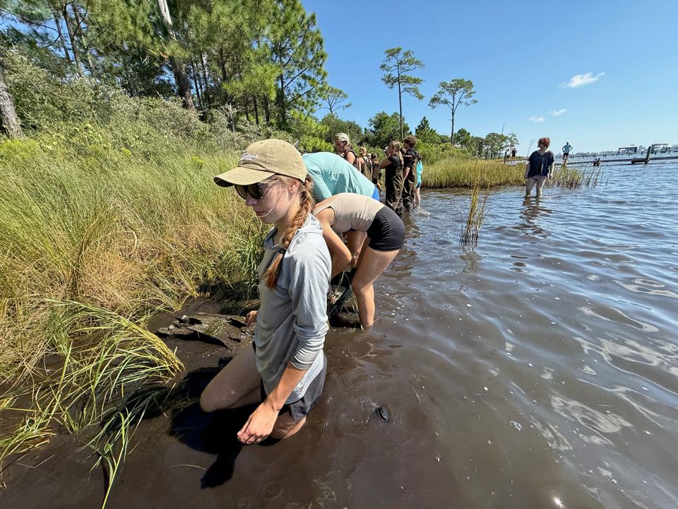 Planting in Gulf Shores, AL