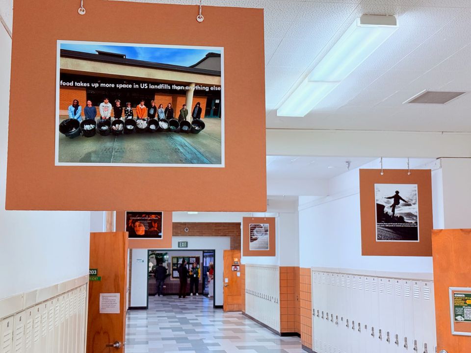 Art for Nature in 4 Schools