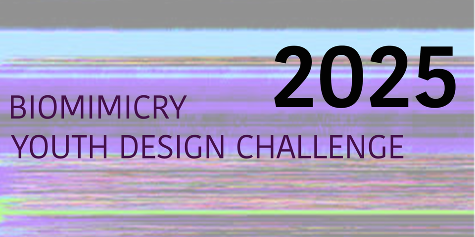 logo for the 2025 Biomimicry Youth Design Challenge