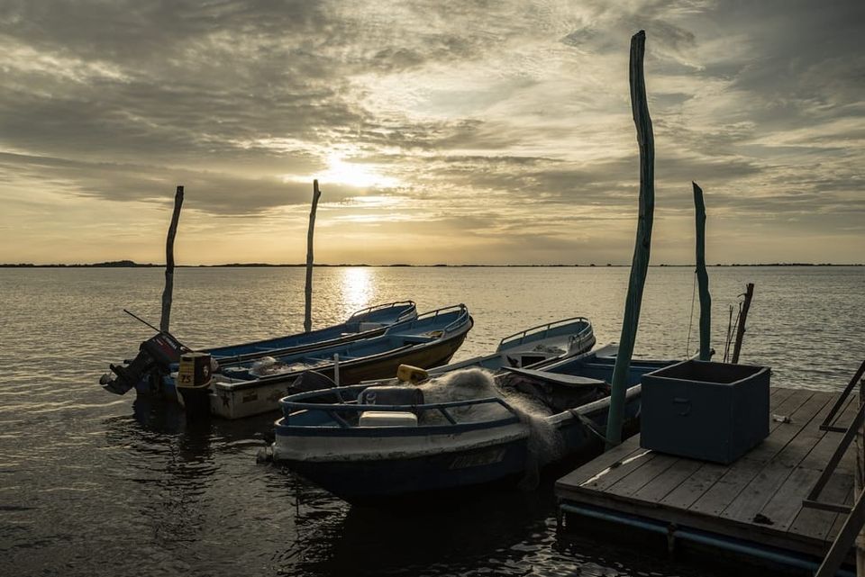 small fishing boats in the water 